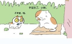 第 3 话 分镜