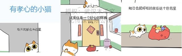 有孝心的小猫